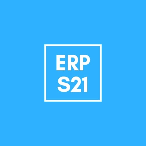 WEB ERPsiglo21
